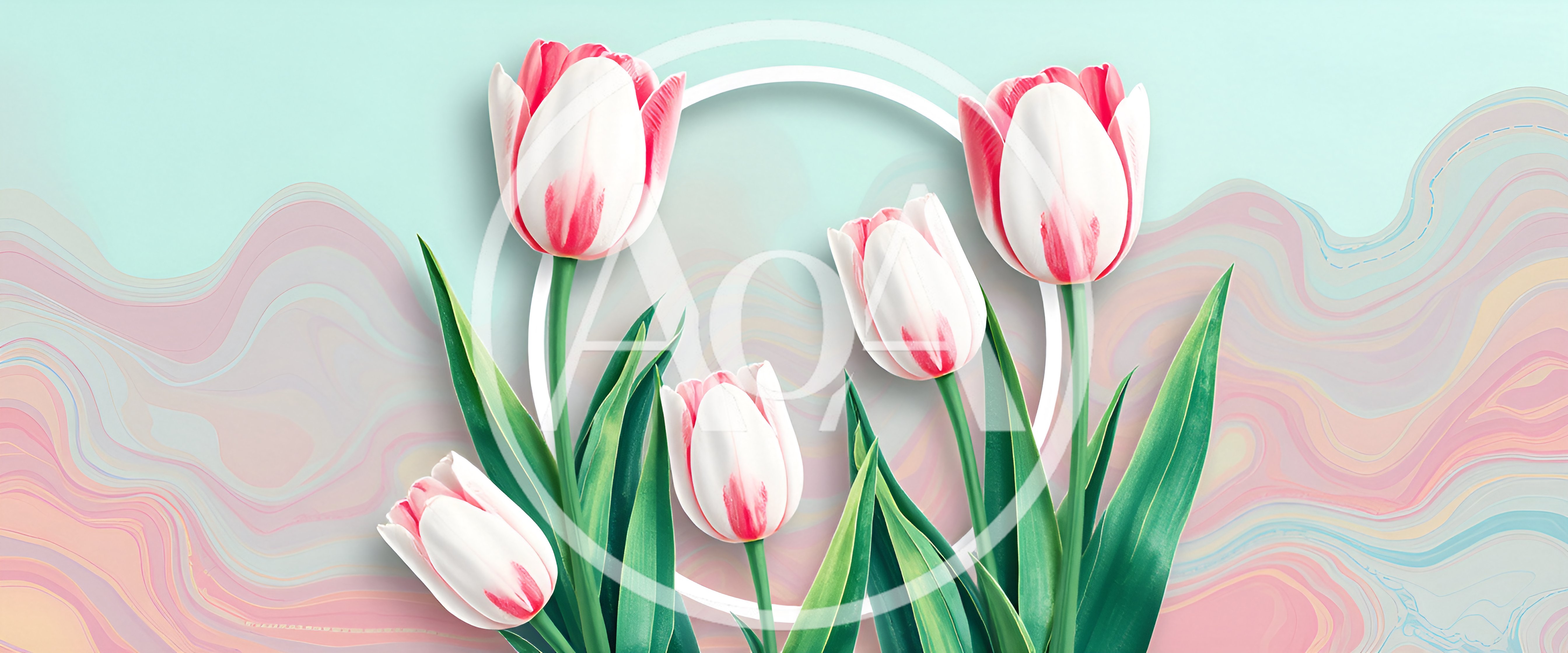 White And Pink Tulips With Circular Frame