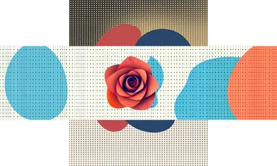 Abstract Graphic Design Featuring A Central Red Rose