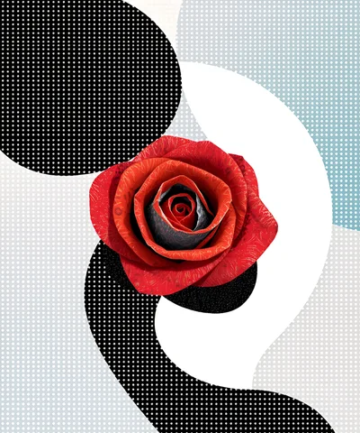 Abstract Digital Collage Featuring A Red Rose