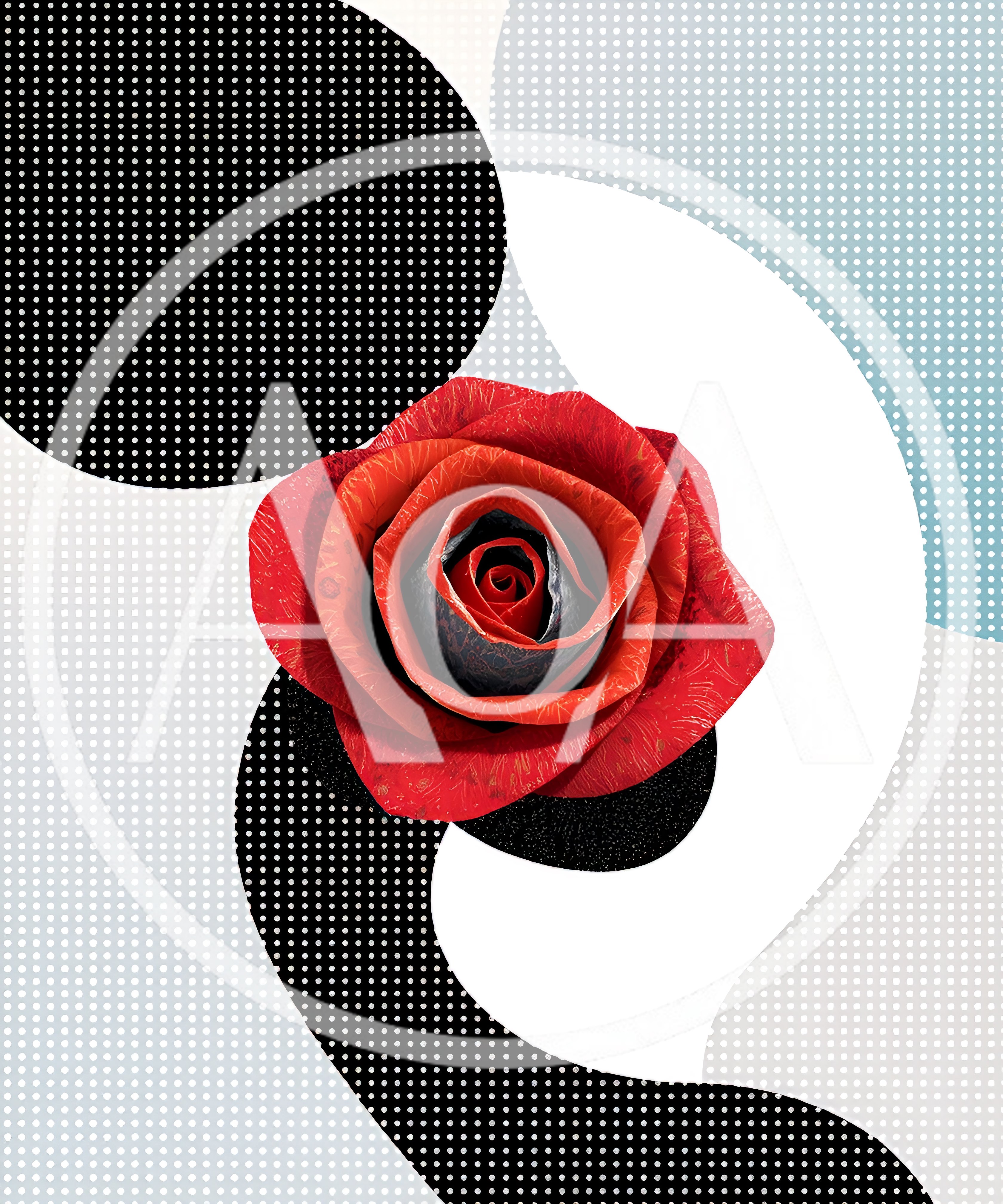 Abstract Digital Collage Featuring A Red Rose