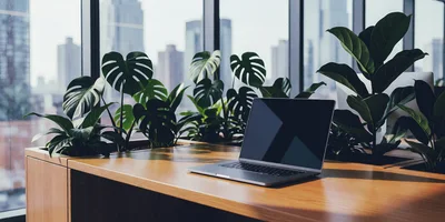 Modern Laptop On Wooden Desk In Sunny Office