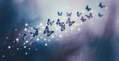 Swarm Of Magical Butterflies Flying In Dreamy Atmosphere