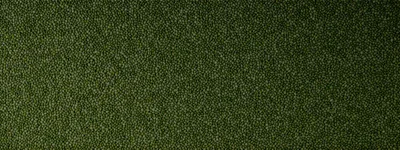 Top View Of Dried Green Mung Beans