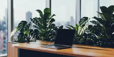 Modern Laptop On Wooden Desk In Sunny Office