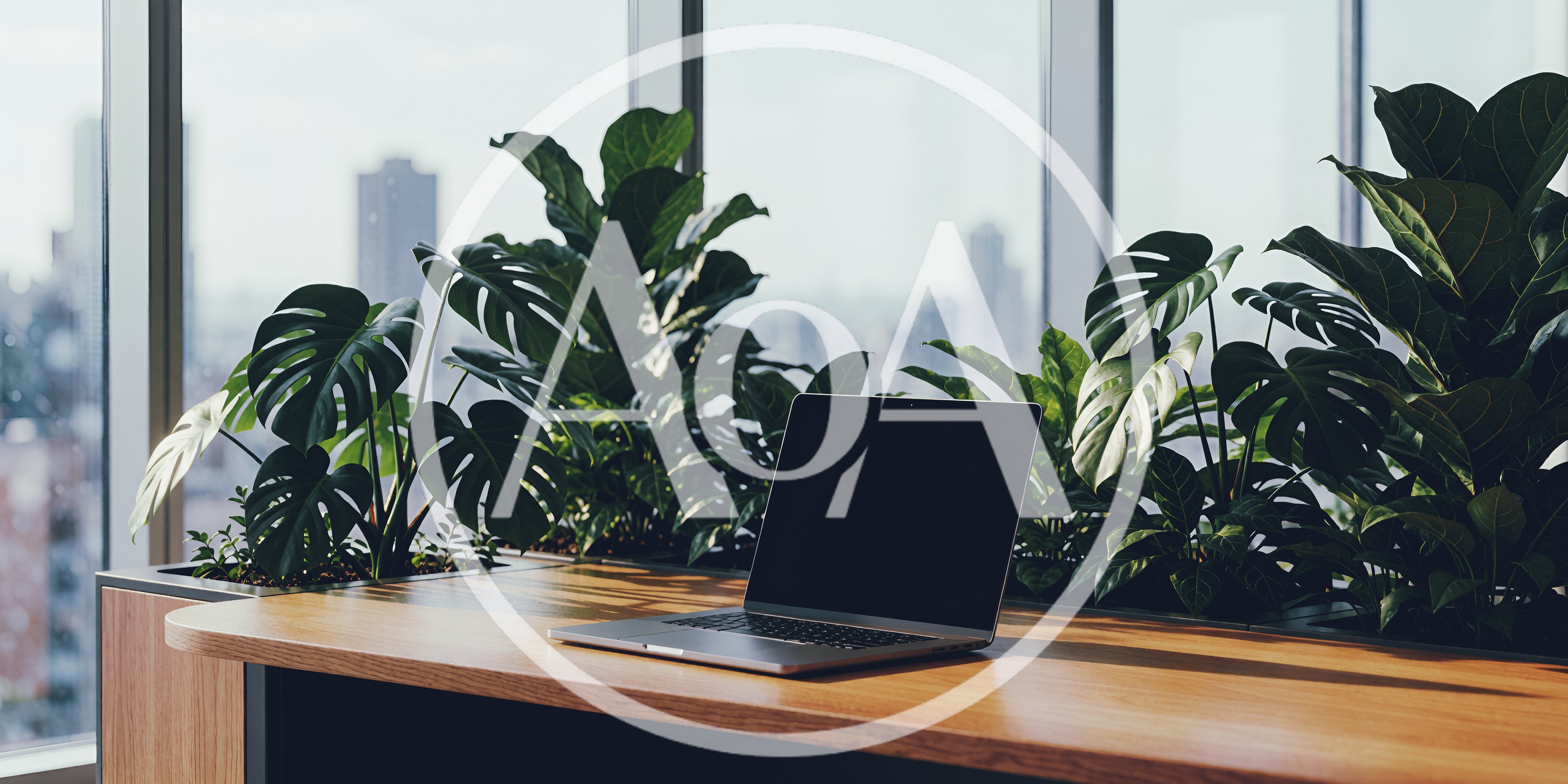 Modern Laptop On Wooden Desk In Sunny Office