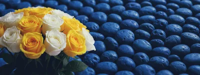 Bouquet of Yellow and White Roses on Blue Stones