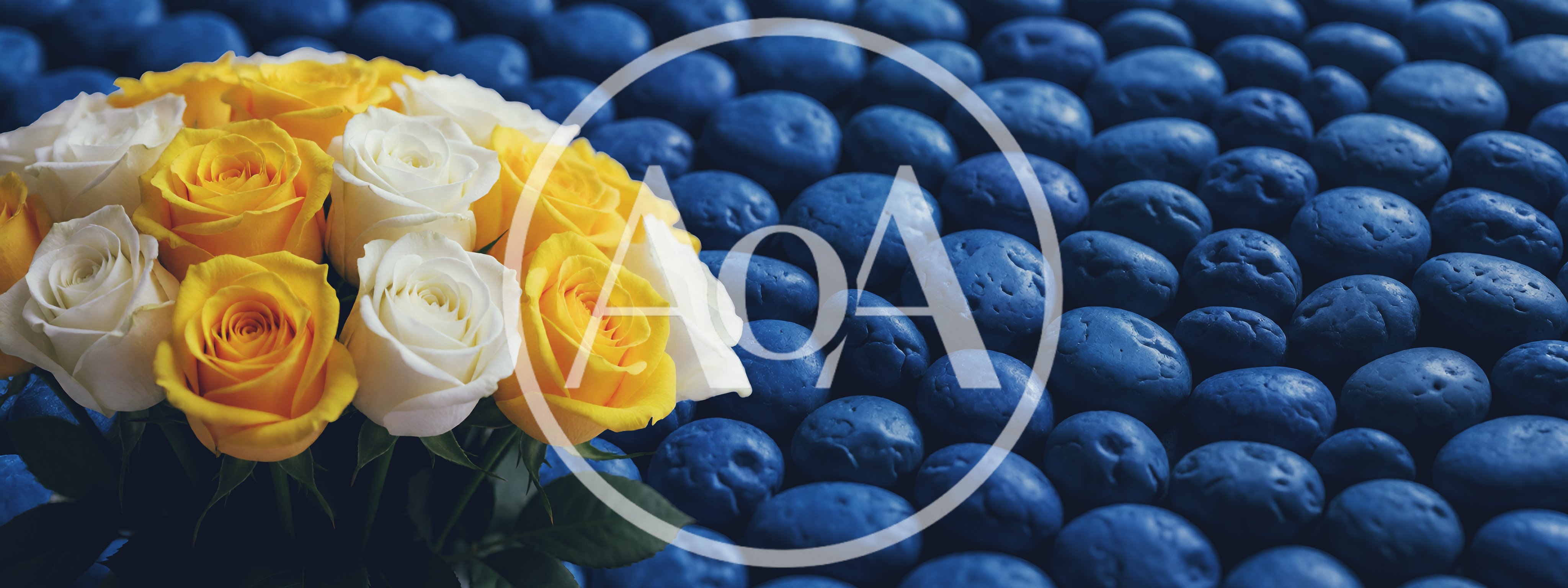 Bouquet of Yellow and White Roses on Blue Stones