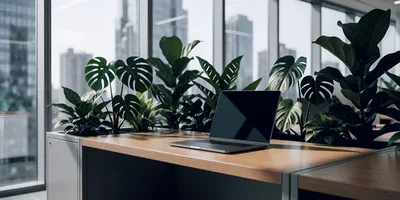Modern Office Desk With Laptop And Indoor Plants