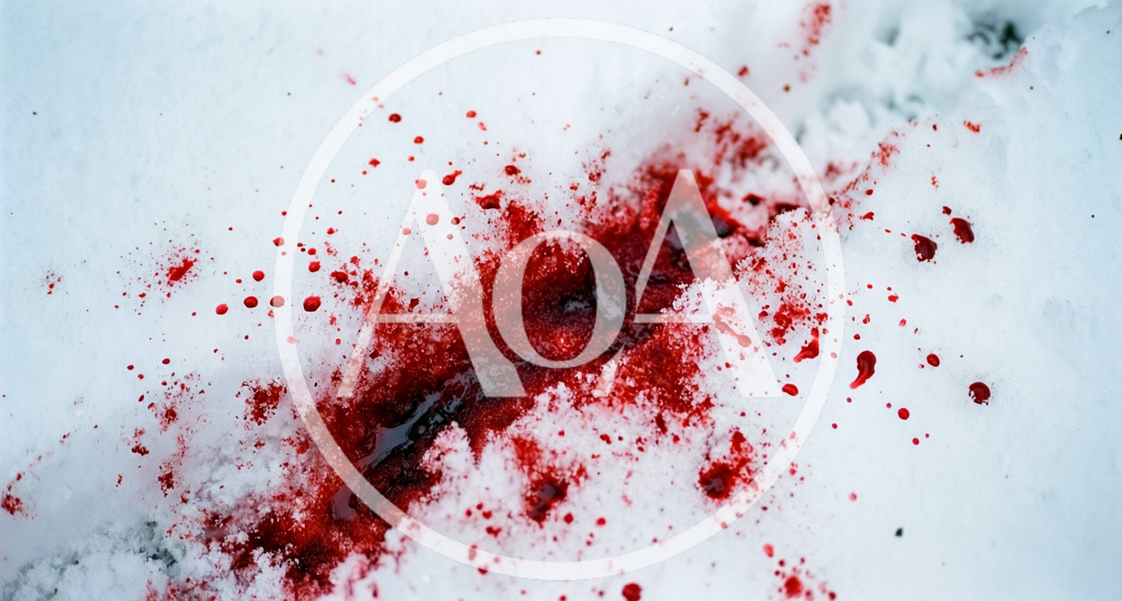 Blood Splatter On Fresh White Snow