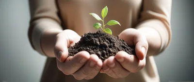 Person Holding Soil With A Small Green Plant