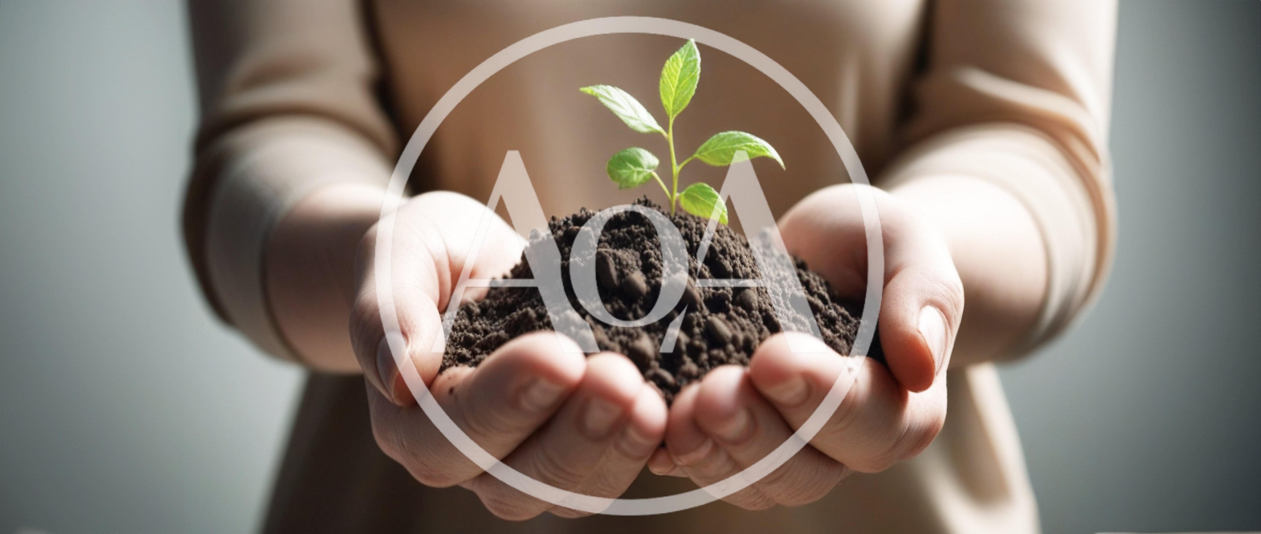 Person Holding Soil With A Small Green Plant