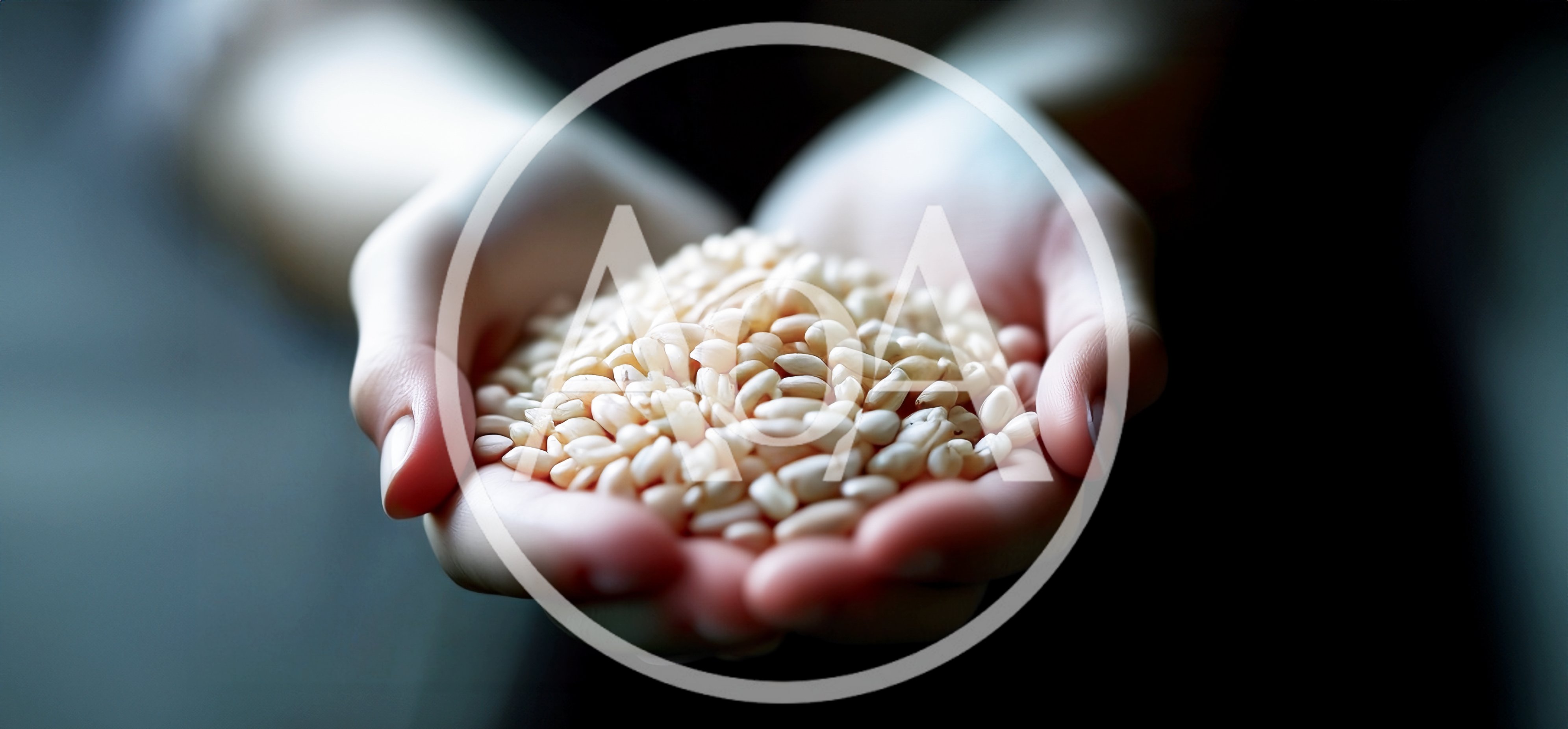 Hands Holding A Pile Of Raw Rice Grains