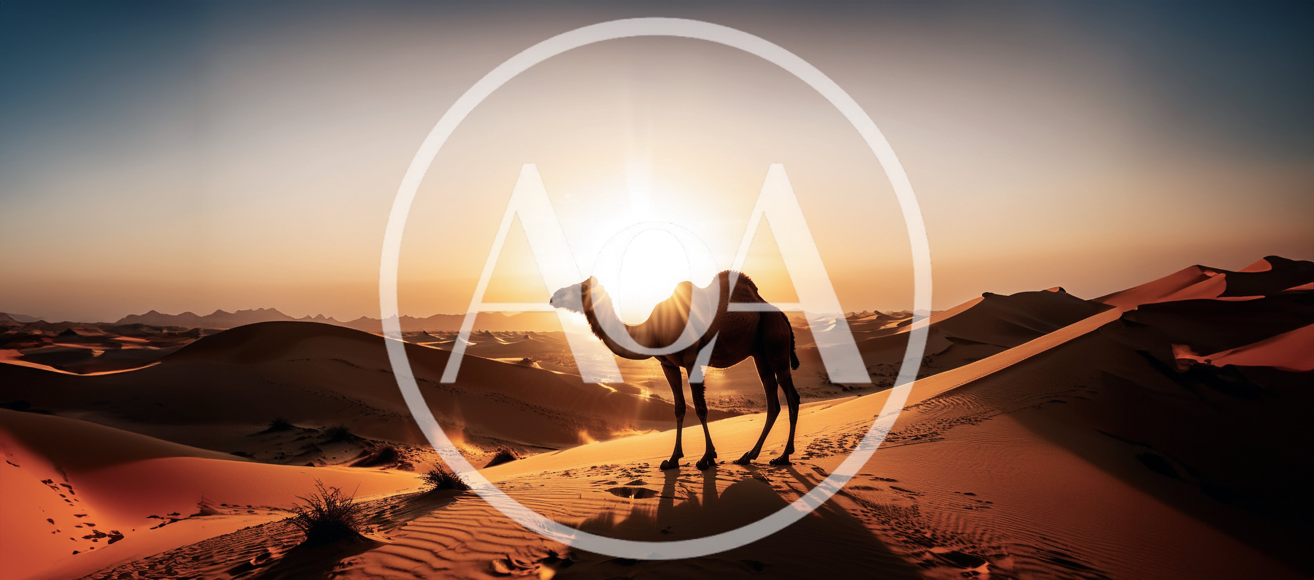 Camel Standing Alone on Desert Sand Dunes at Sunset