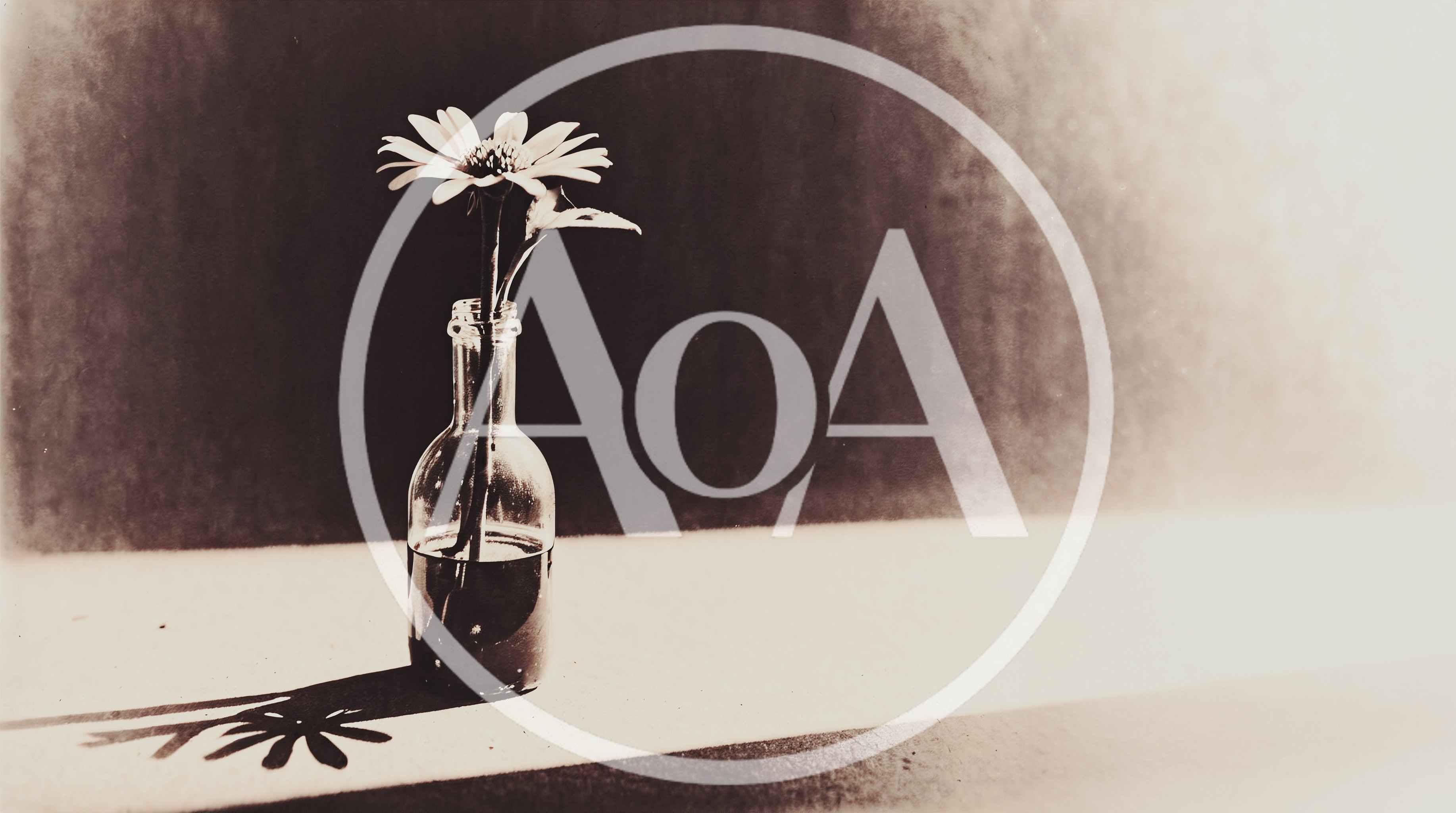 Single Daisy Flower In A Glass Bottle