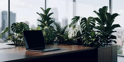 Modern Laptop On Wooden Desk With Lush Indoor Plants