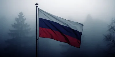 Russian Flag Waving In Misty Forest Setting