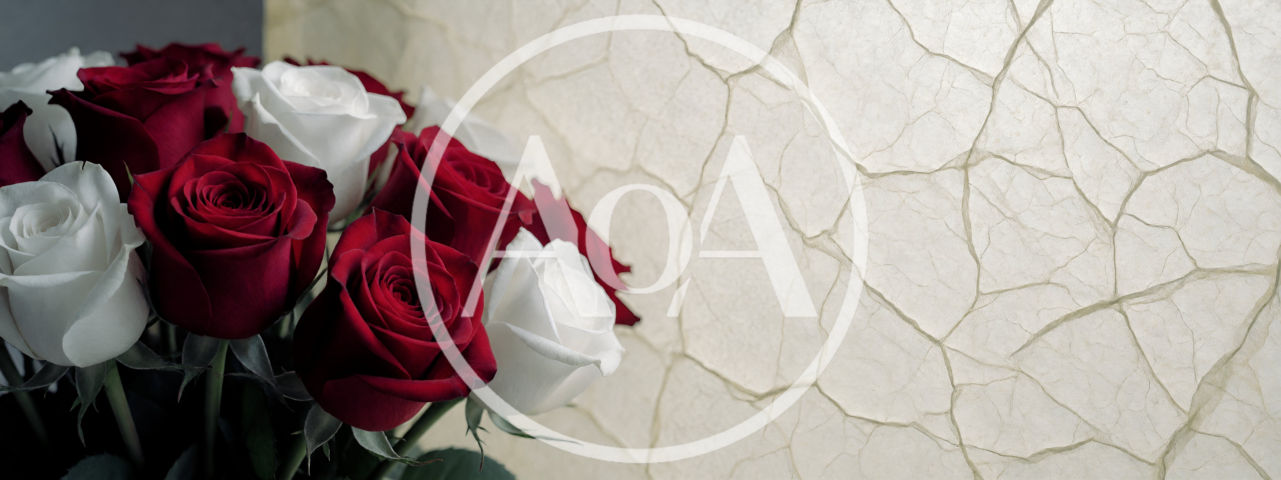Bouquet Of Red And White Roses Against Textured Background