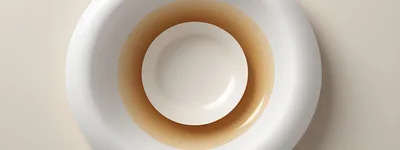 Abstract Minimalist Concentric Circles Design