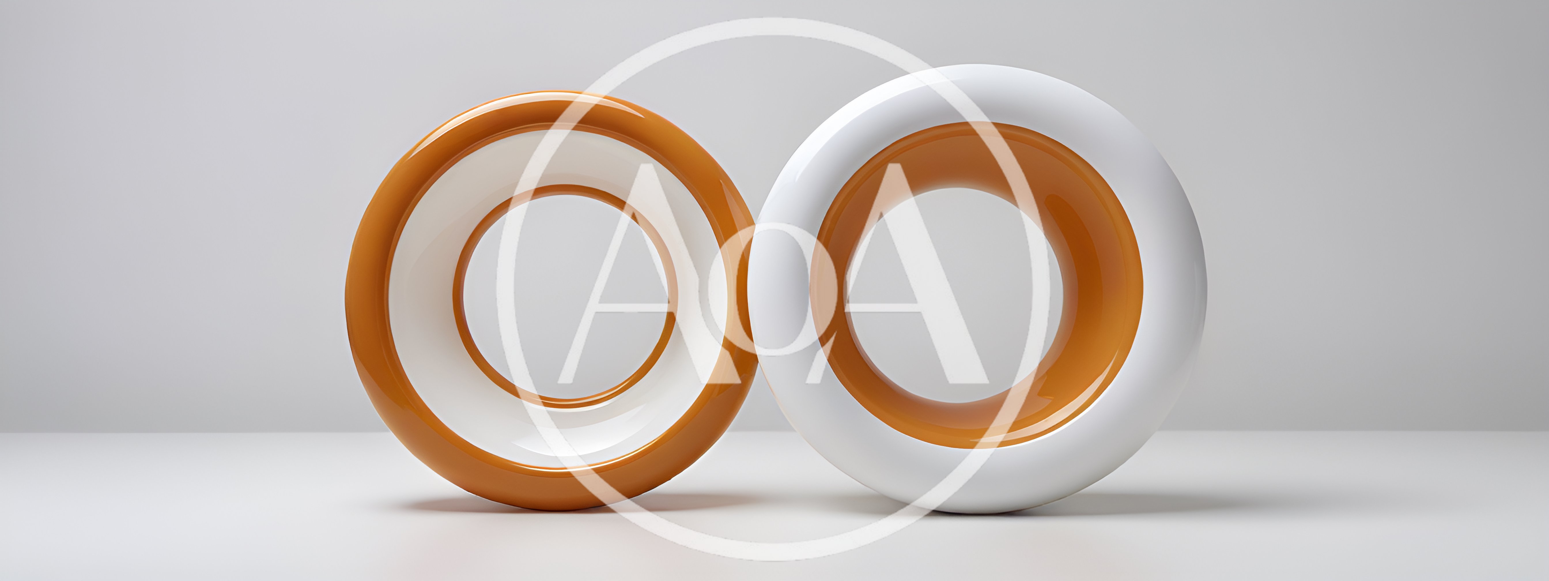 Two Glossy Torus Shapes With Contrasting Colors