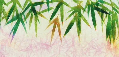 Watercolor Bamboo Leaves Illustration On Textured Paper