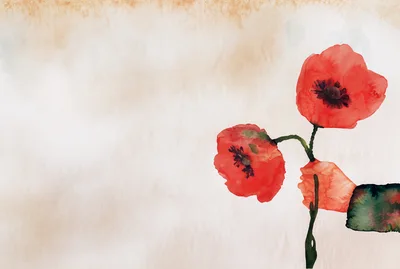 Watercolor Painting Of Red Poppy Flowers