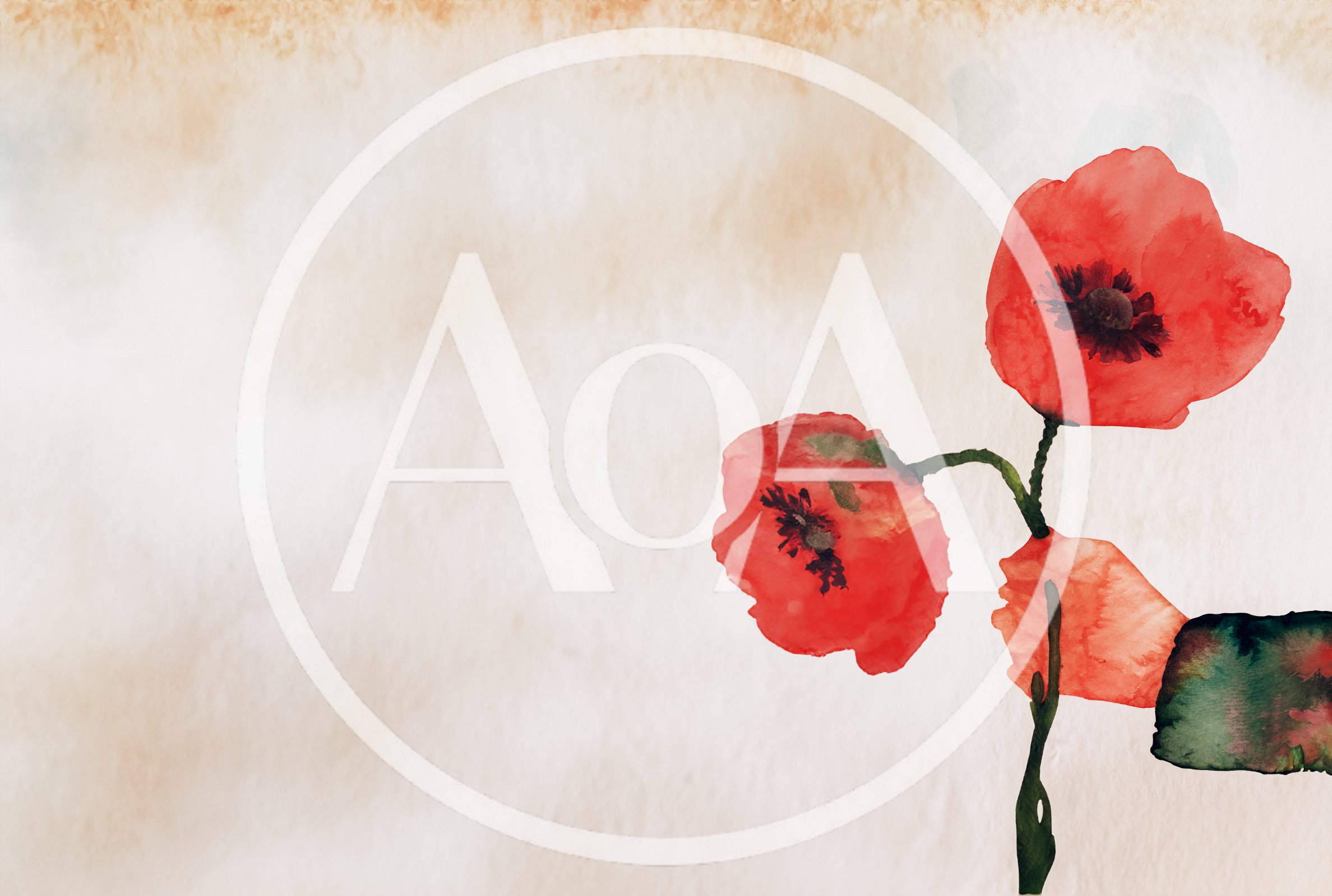 Watercolor Painting Of Red Poppy Flowers