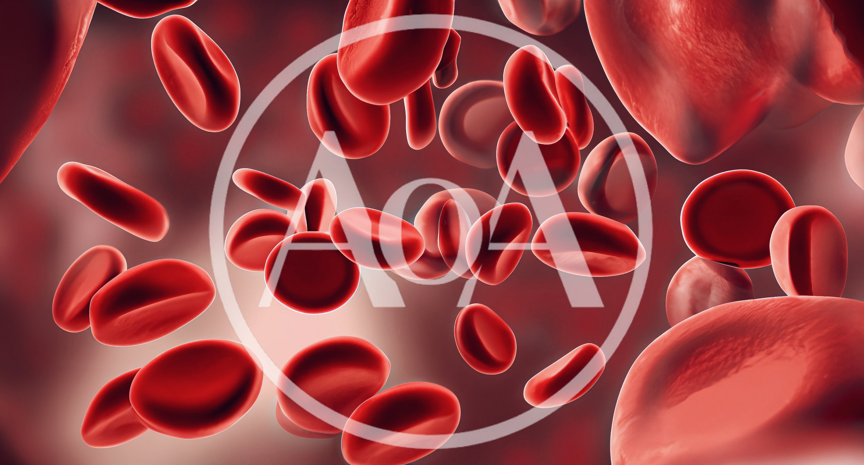Red Blood Cells Flowing Through A Human Vein