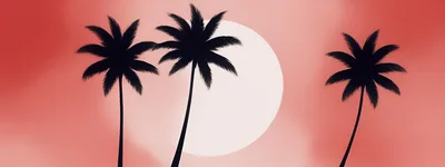 Silhouetted Palm Trees Against A Pale Pink Sunset