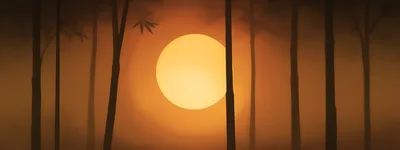 Silhouetted Bamboo Stalks Against A Glowing Golden Sunset