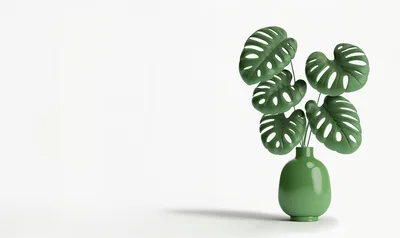 Minimalist Monstera Plant In A Green Ceramic Vase