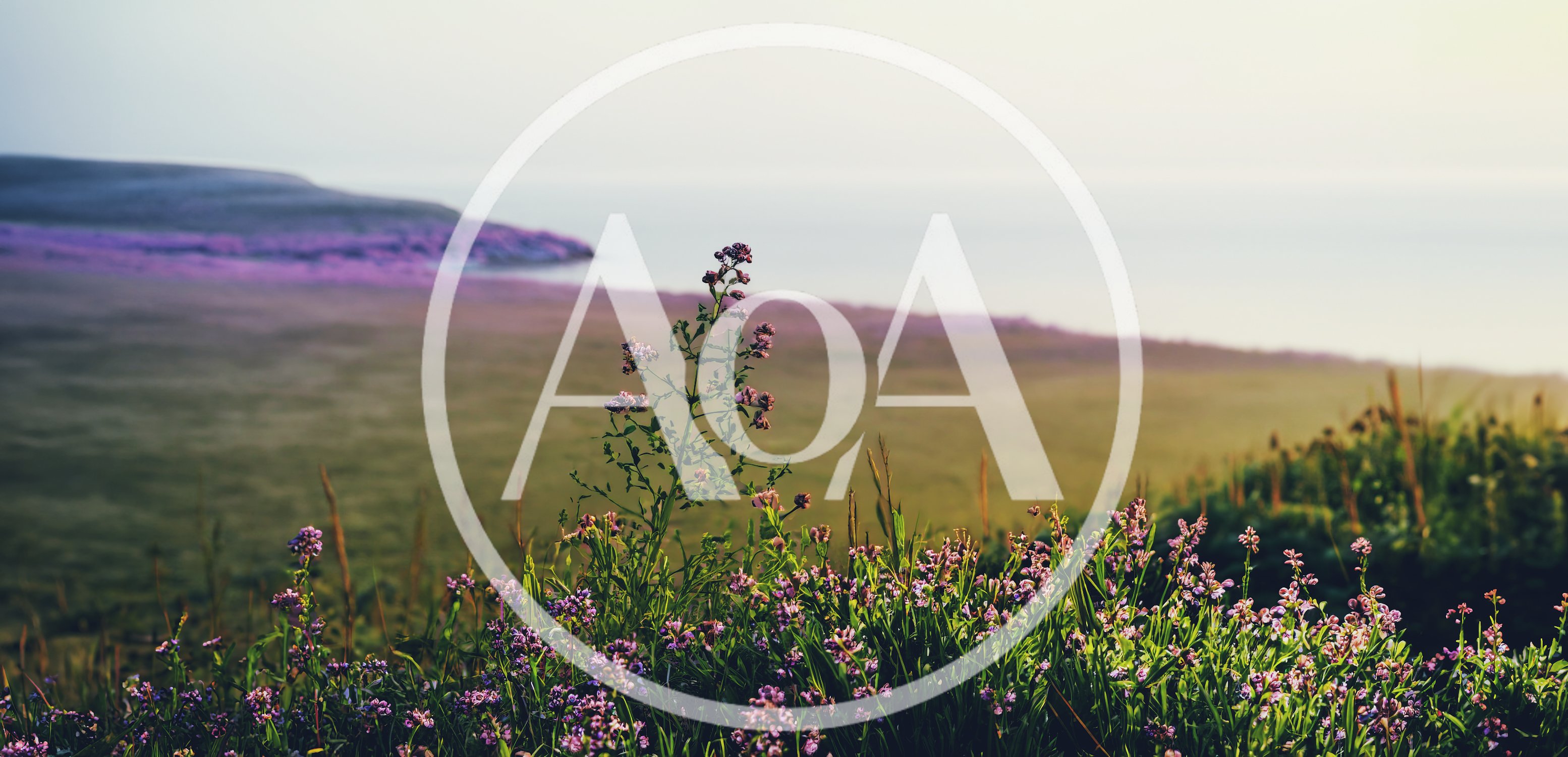 Wildflowers Blooming On A Coastal Cliffside At Sunset