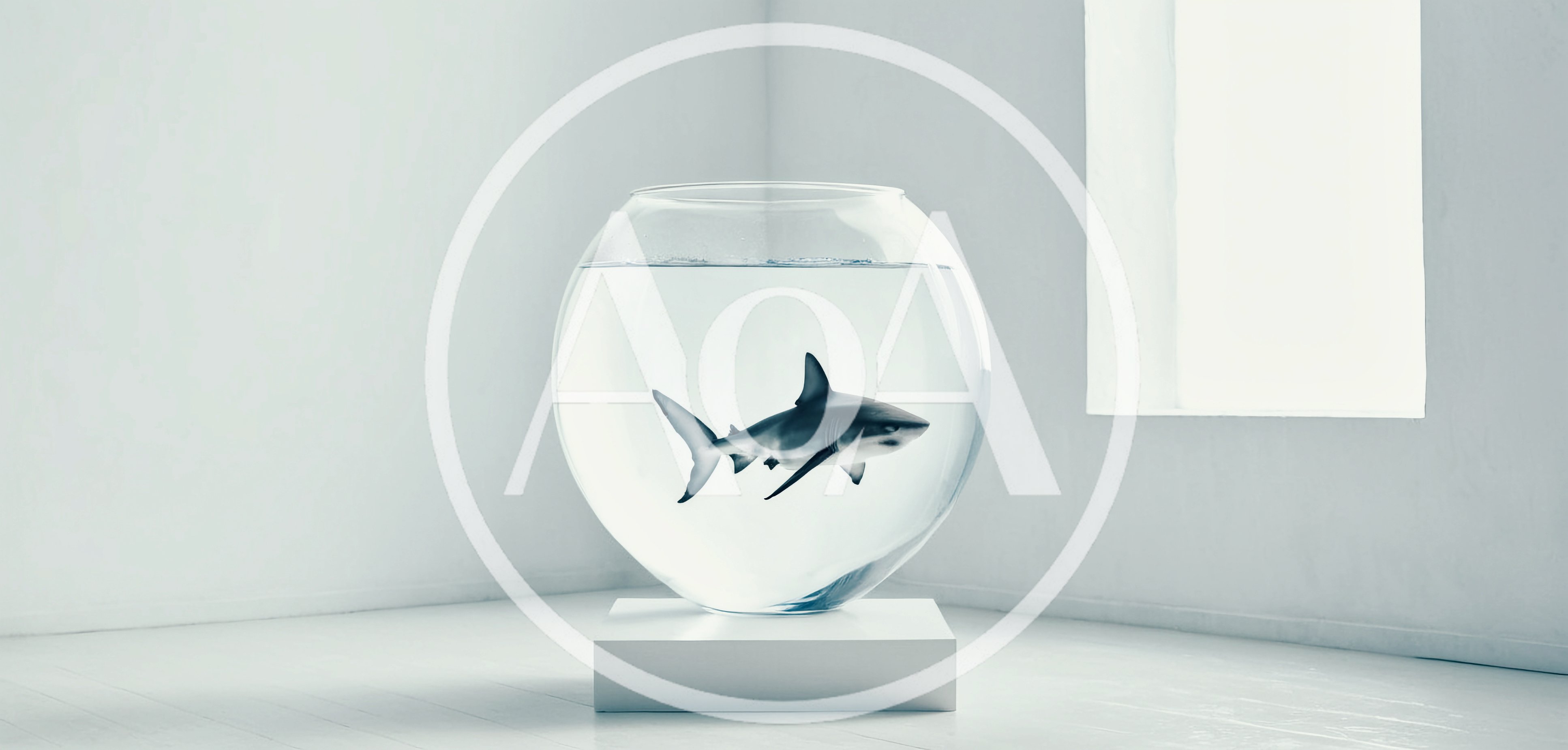 A Shark Swimming Inside A Large Glass Fishbowl