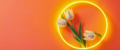 White Tulips Inside A Glowing Yellow Neon Circle