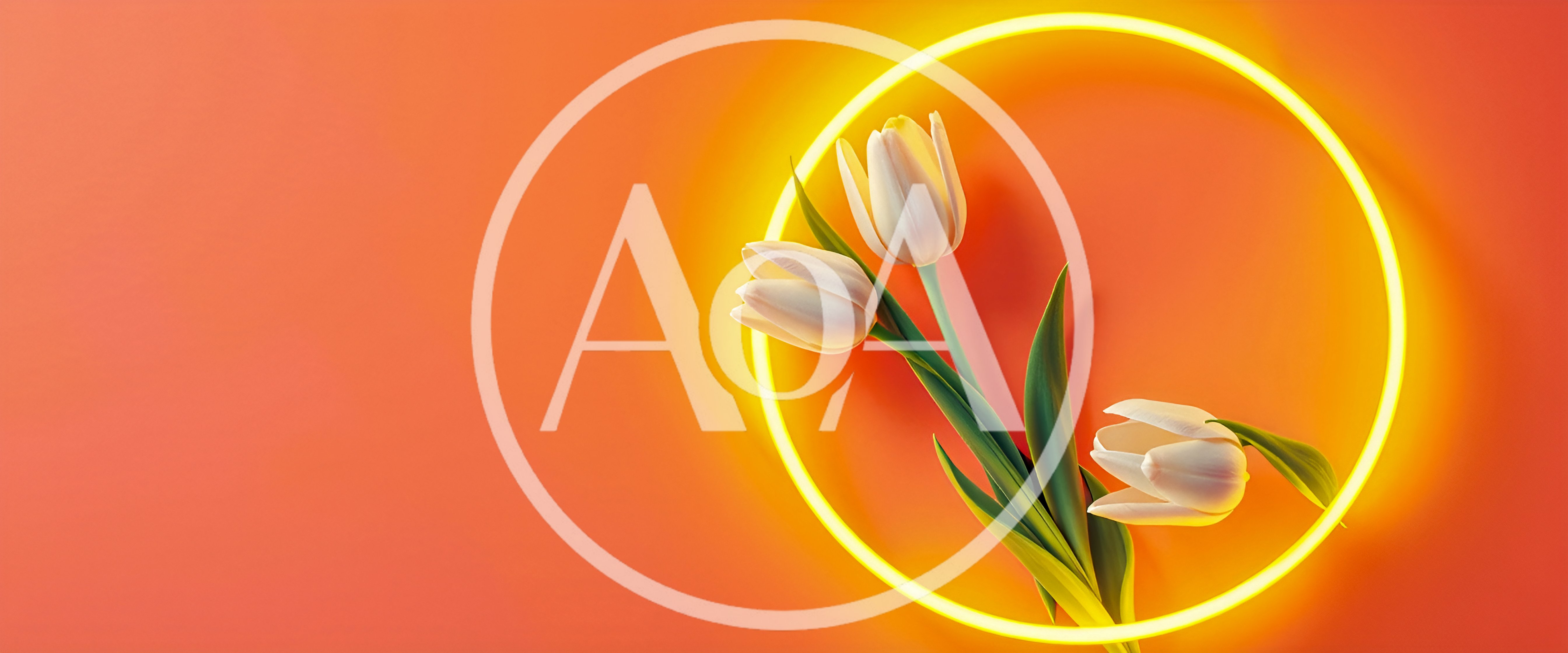 White Tulips Inside A Glowing Yellow Neon Circle