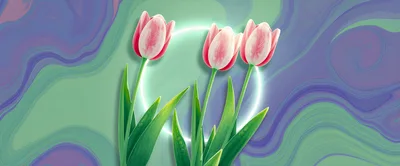 Three Pink Tulips Against A Swirling Abstract Background