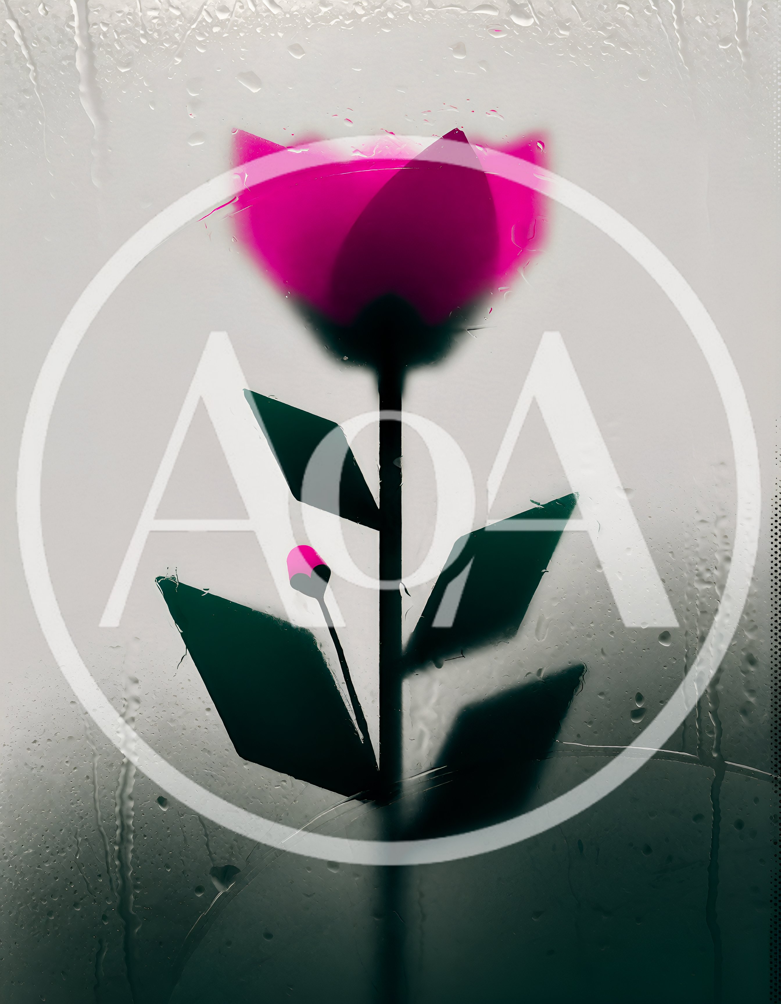 Pink Flower Drawing On A Rainy Windowpane