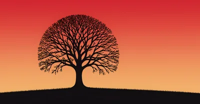 Silhouette Of A Bare Tree Against A Sunset Sky
