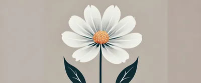 Minimalist Illustration Of A White Daisy Flower