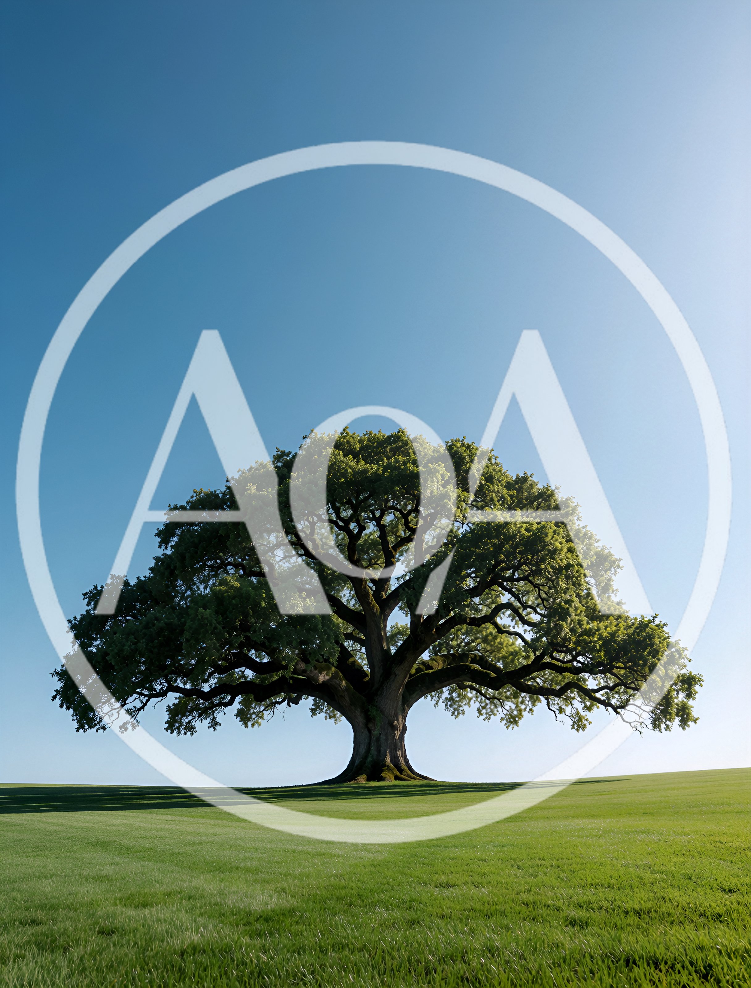 Majestic Solitary Oak Tree In A Green Field
