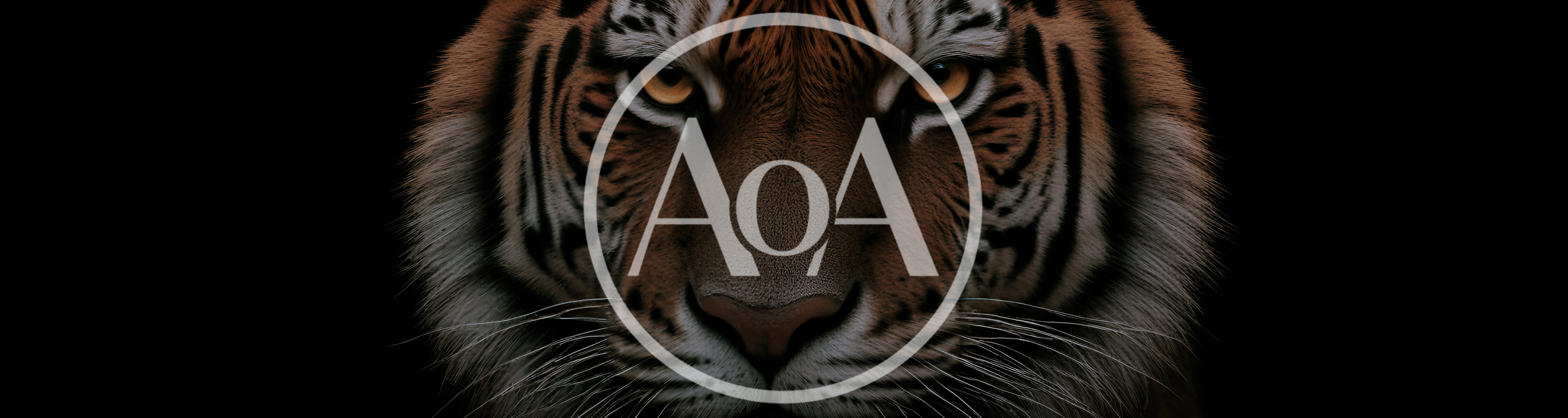Close Up Portrait Of A Majestic Tiger Face