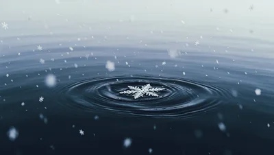Single Snowflake Falling Into Dark Water Creating Ripples