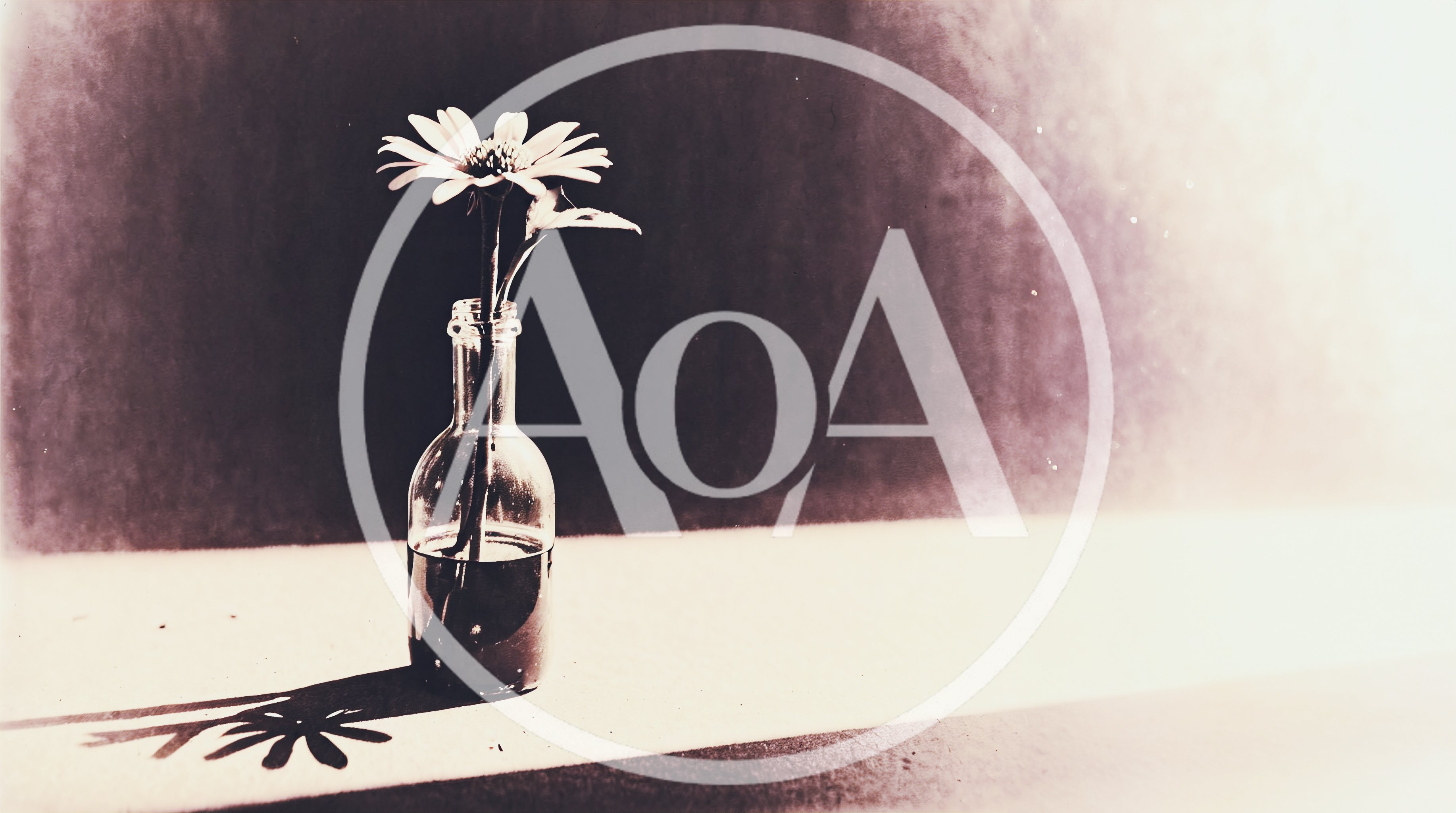 Single Daisy Flower In A Glass Bottle