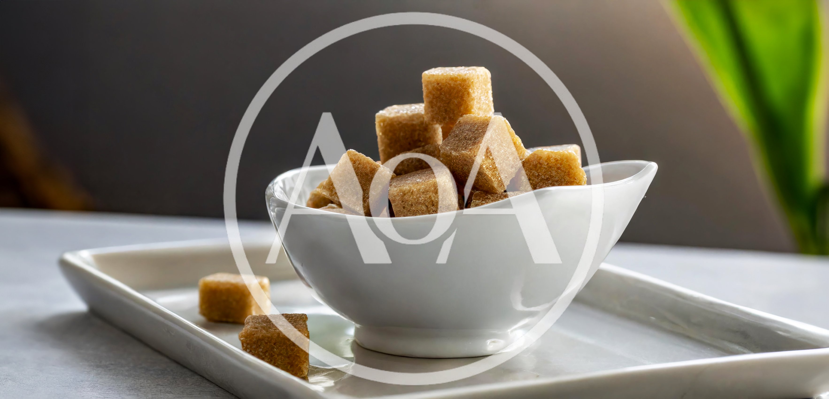 Brown Sugar Cubes in a White Bowl