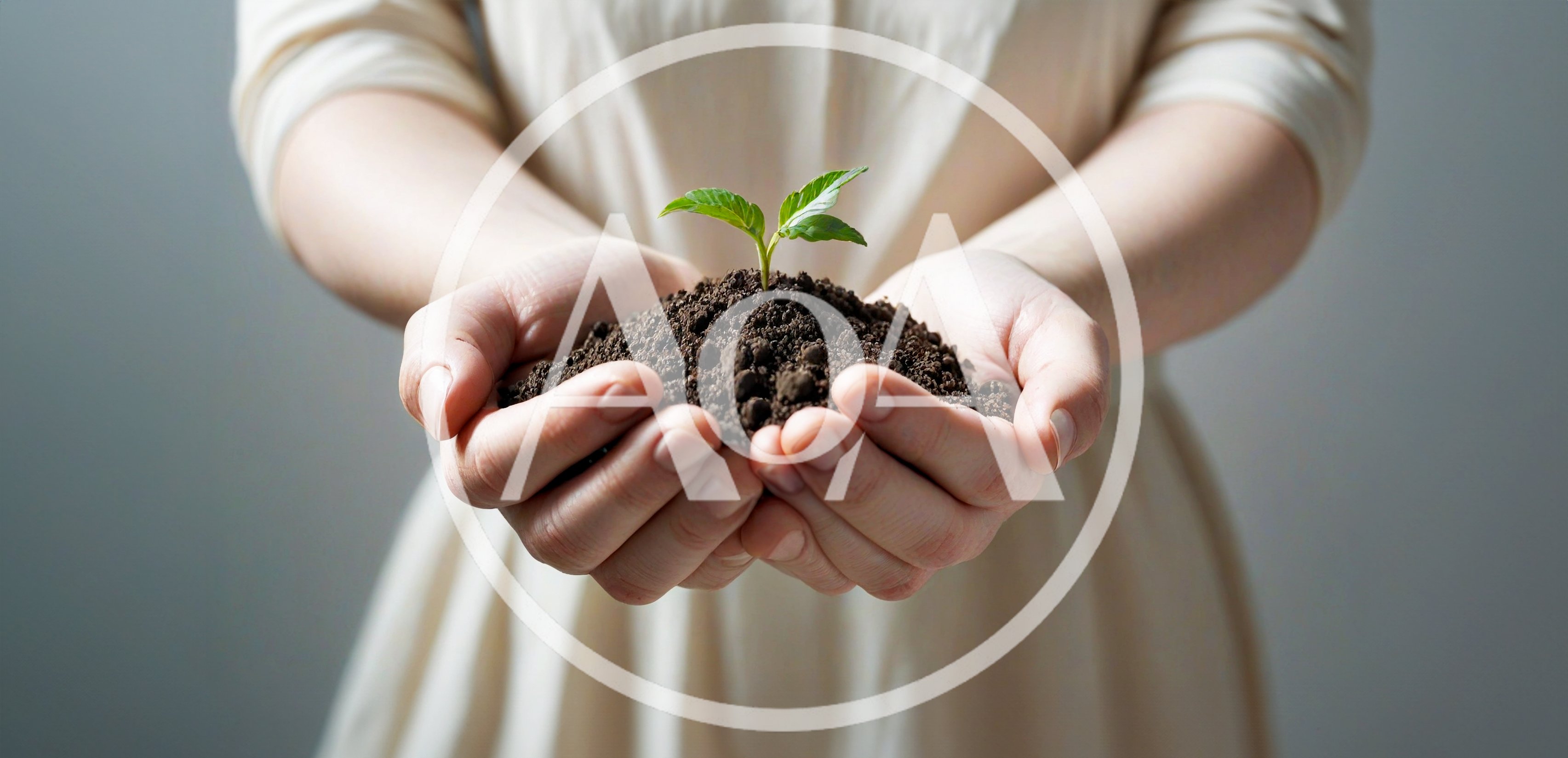 Person Holding Soil With A Small Green Plant
