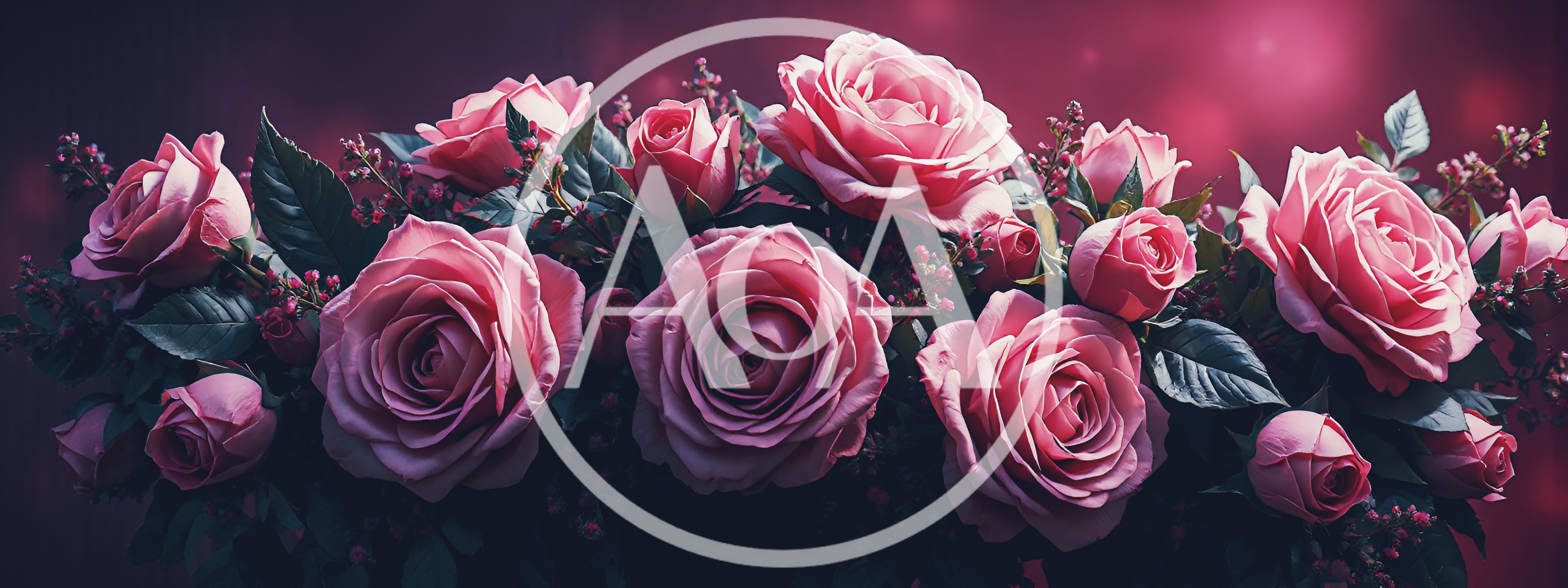 Beautiful Pink Rose Bouquet Against Dark Background