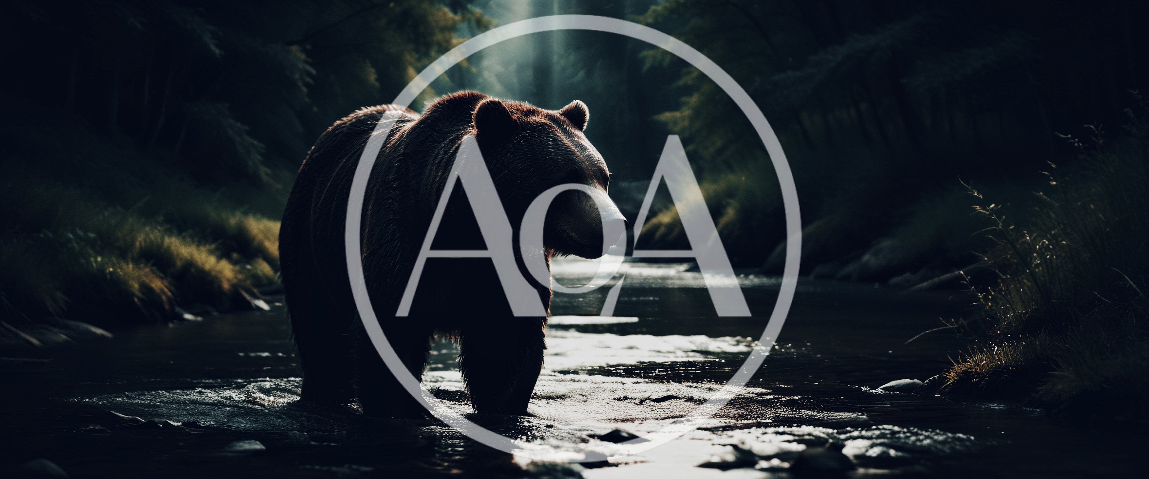 Grizzly Bear Standing In A Shallow Forest River