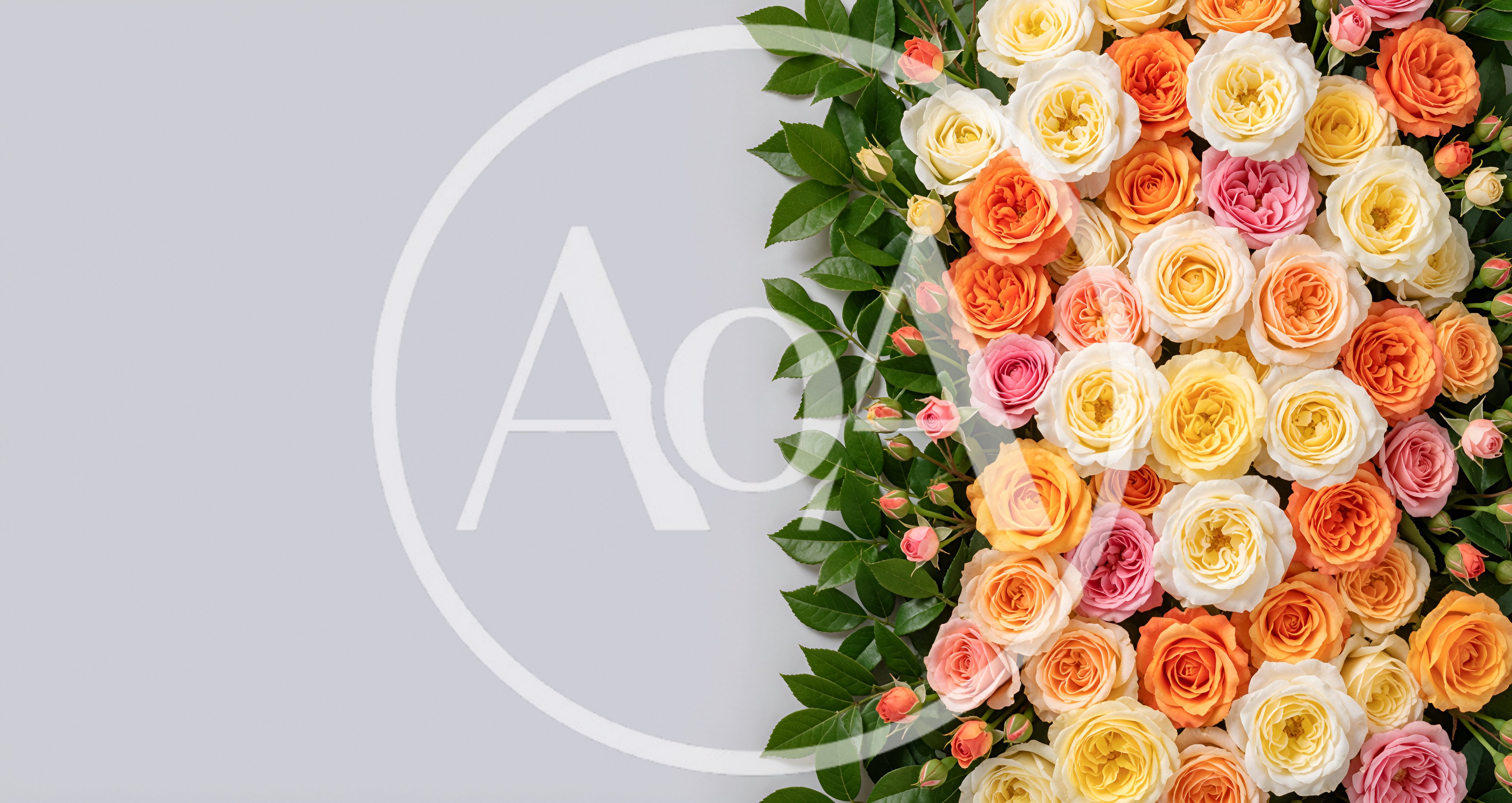 Colorful Rose Bouquet Border on Light Background