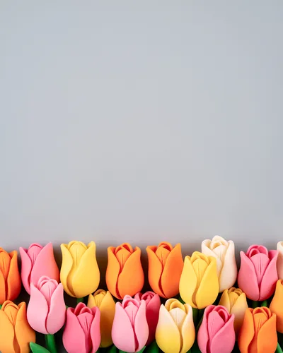 Colorful Tulip Flower Decorations on Gray Background