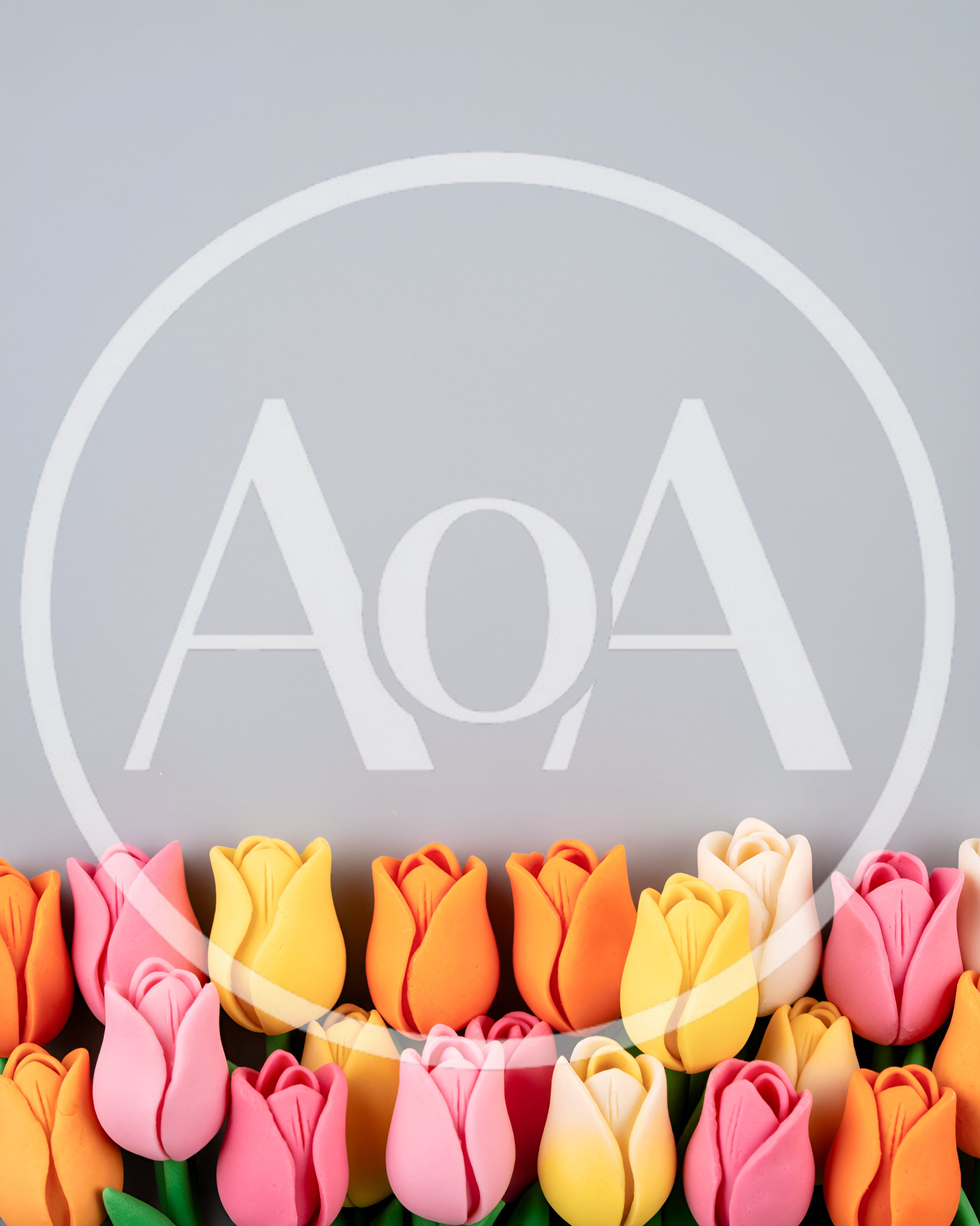 Colorful Tulip Flower Decorations on Gray Background