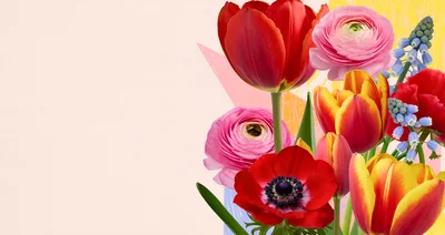 Spring Flower Bouquet Collage With Tulips And Ranunculus
